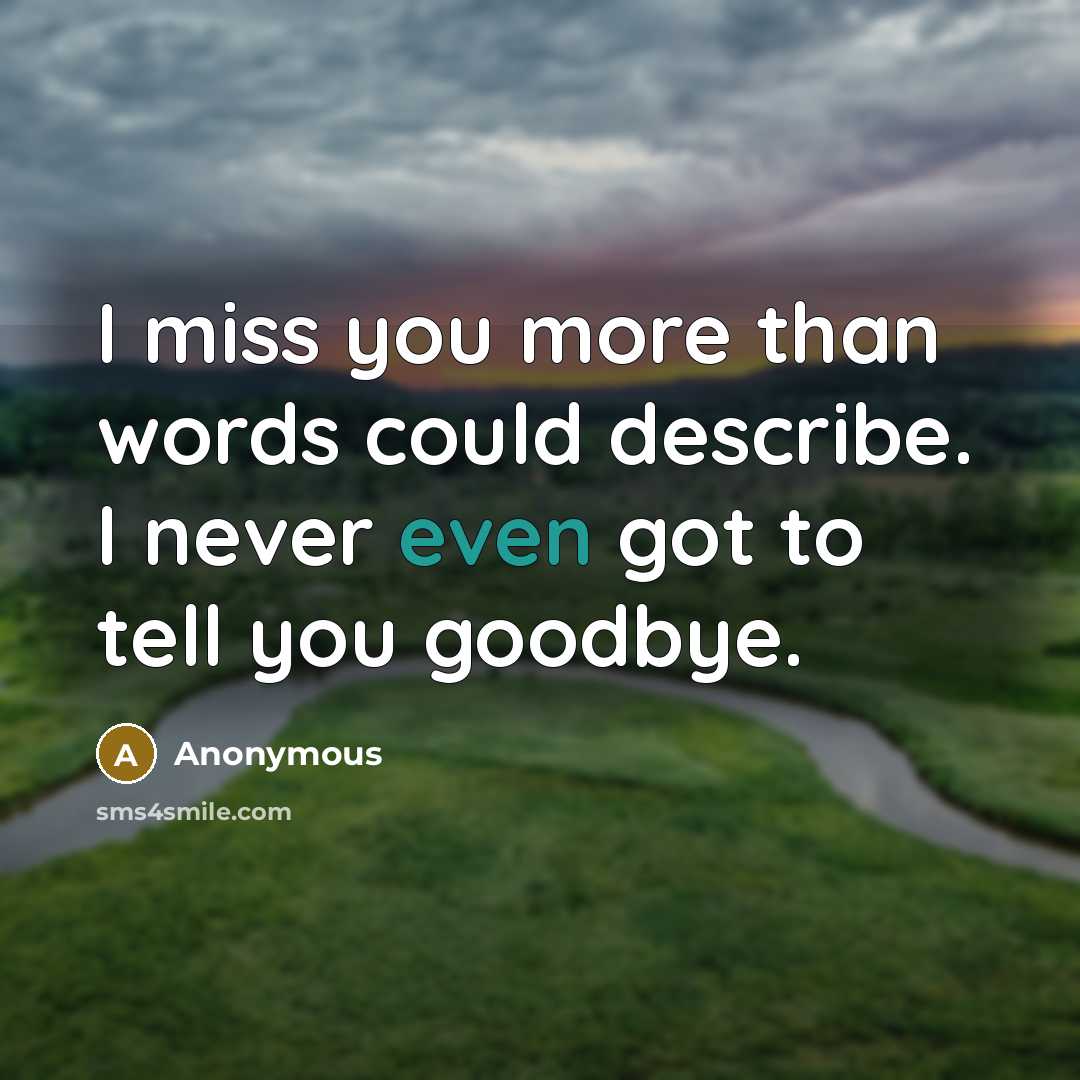 “I miss you more than words could describe. I never even got to tell you goodbye.” quote by Anonymous