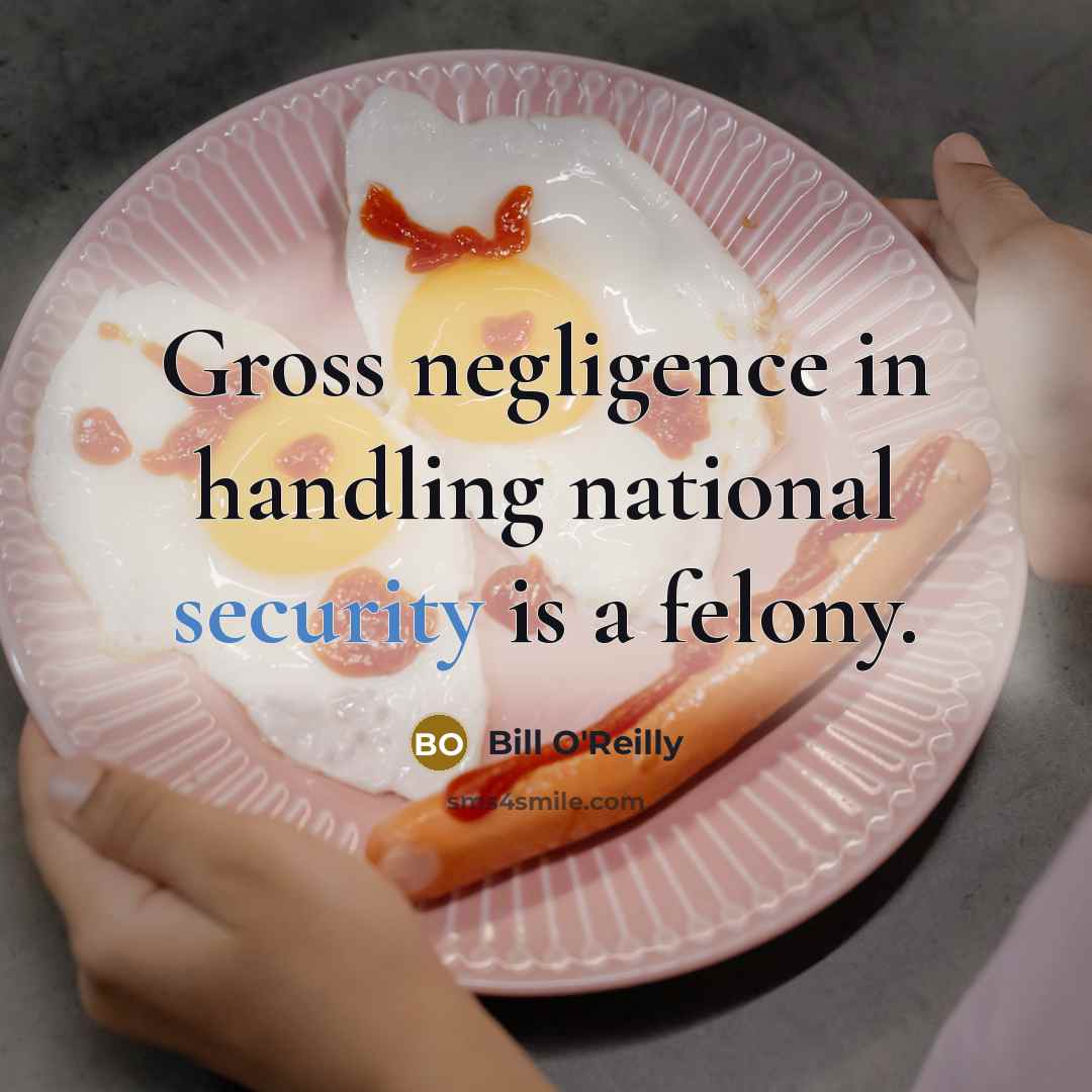 “Gross negligence in handling national security is a felony.…” quote by Bill O'Reilly