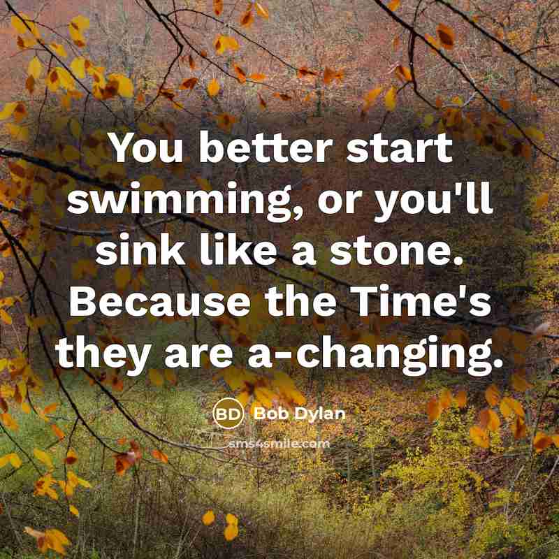 “You better start swimming, or you'll sink like a stone.…” quote by Bob Dylan