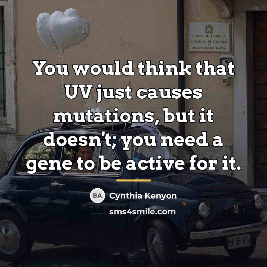 “You would think that UV just causes mutations, but it…” quote by Cynthia Kenyon