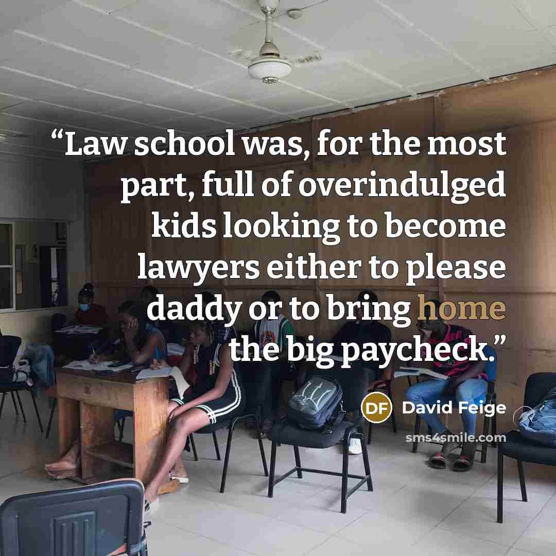 “Law school was, for the most part, full of overindulged kids looking to become lawyers either to please daddy or to bring home the big paycheck.” quote by David Feige