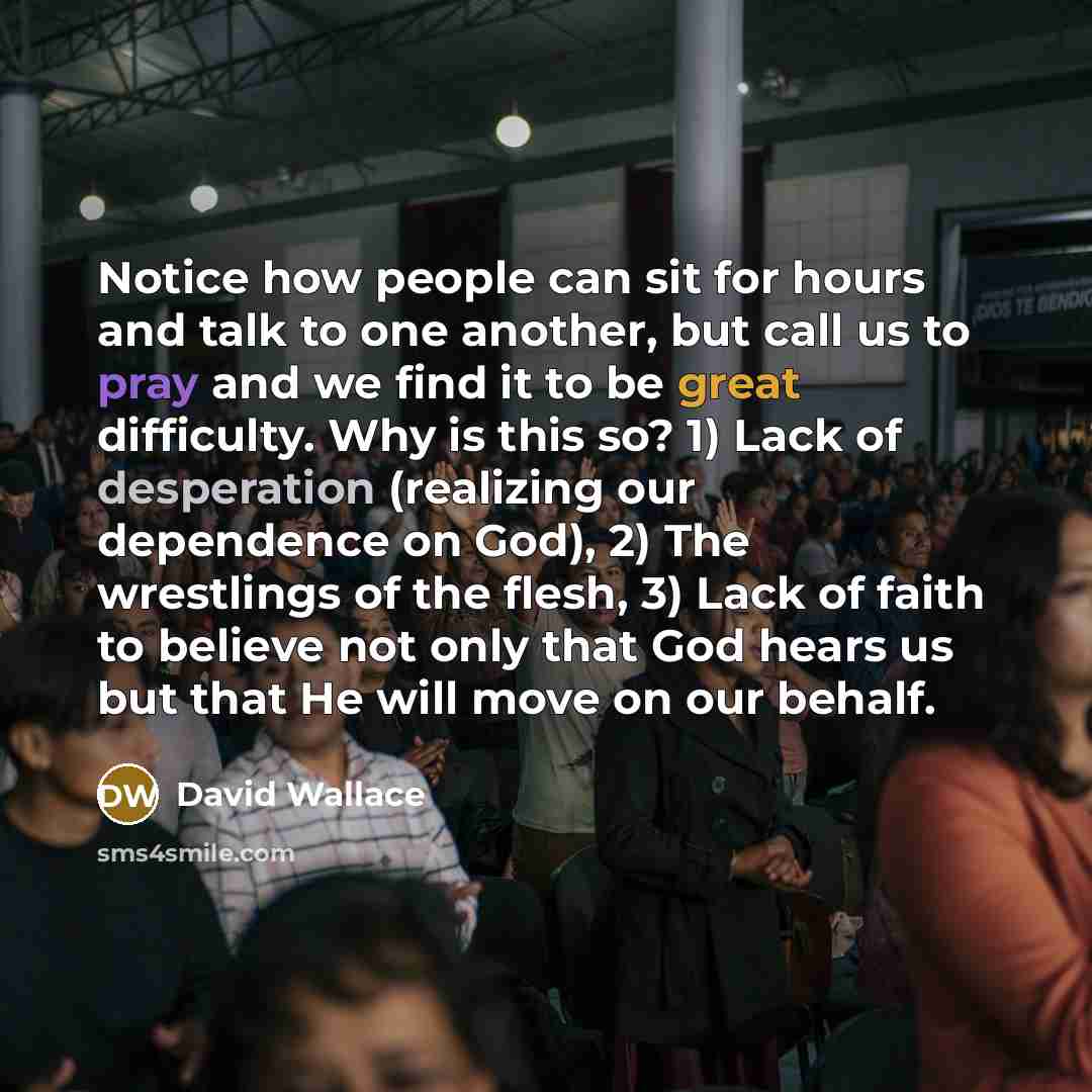 “Notice how people can sit for hours and talk to…” quote by David Wallace