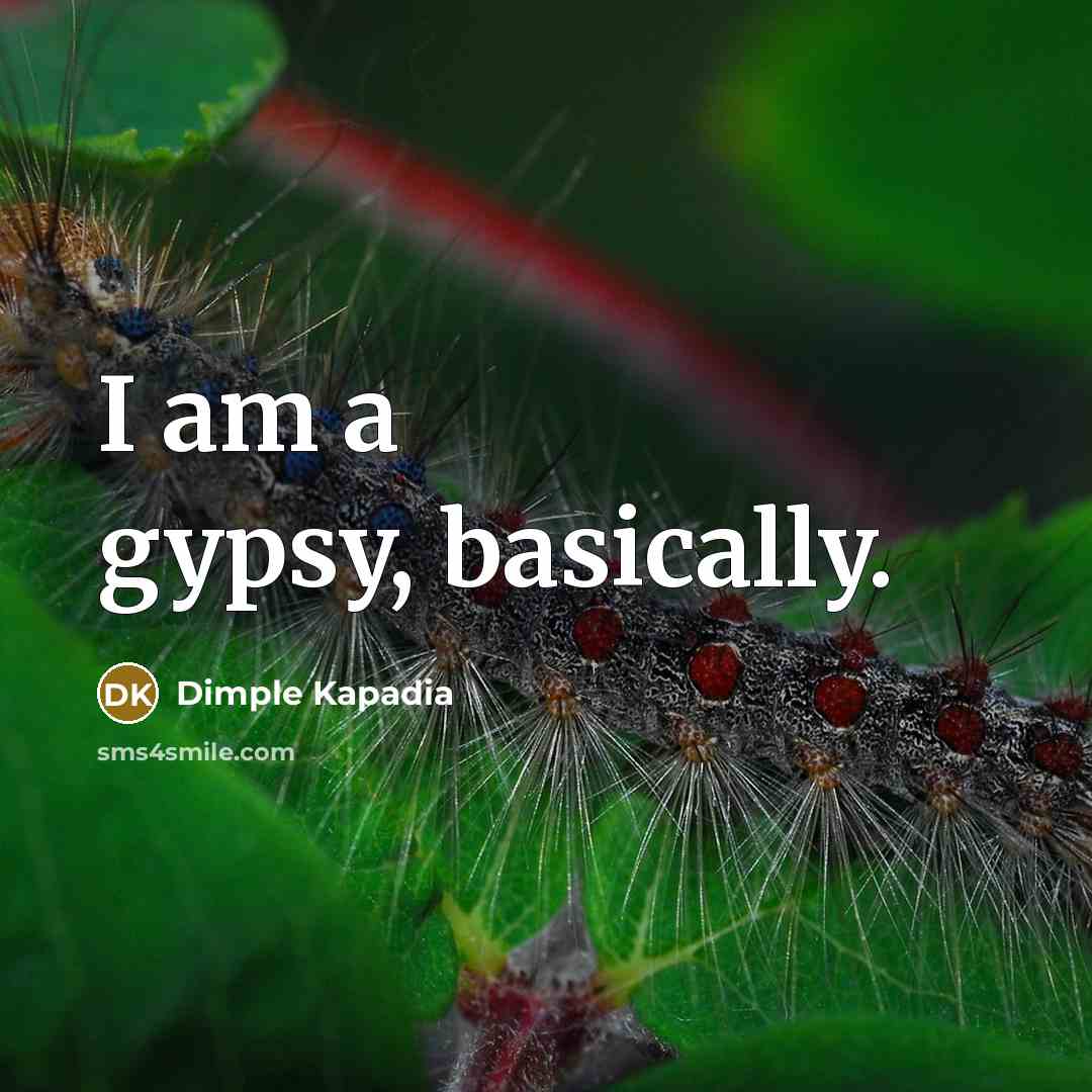 “I am a gypsy, basically.…” quote by Dimple Kapadia