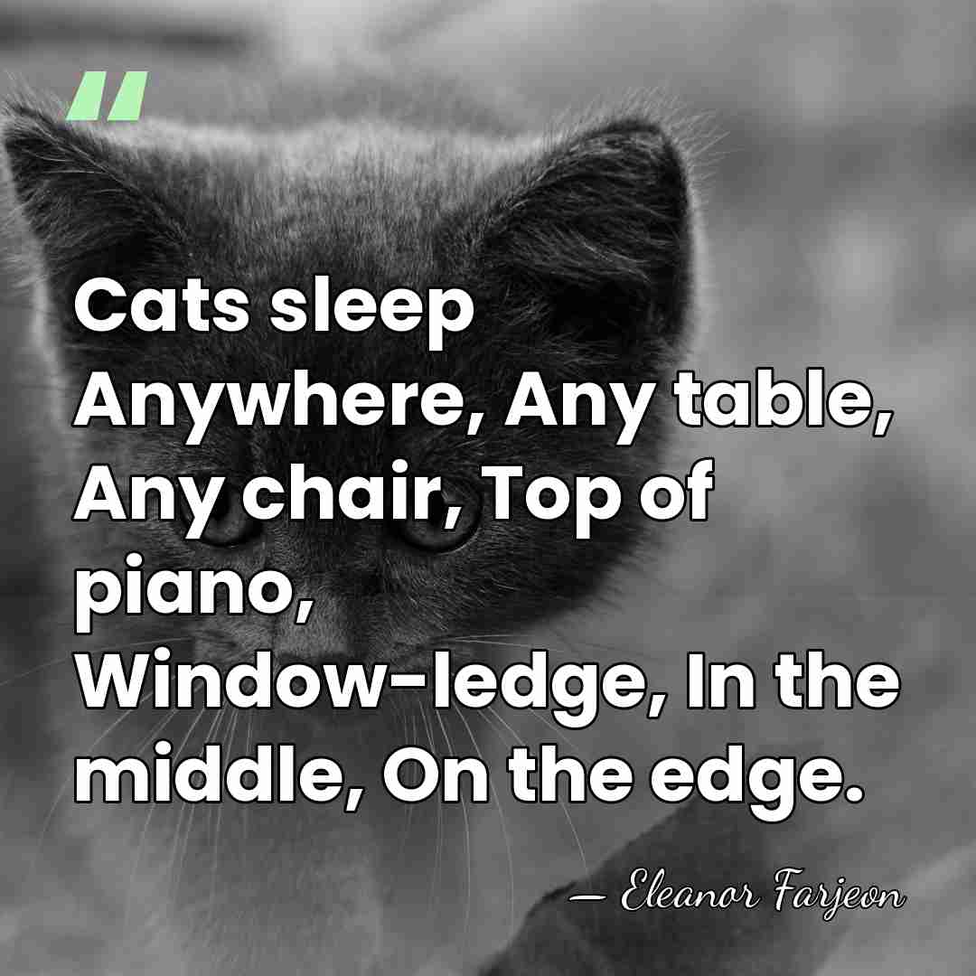 Cats sleep Anywhere, Any table, Any chair, Top of piano, Window-ledge, In&hellip; - Eleanor Farjeon