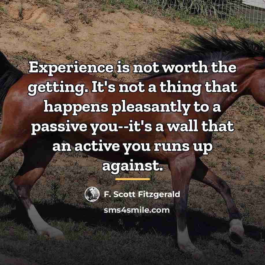 “Experience is not worth the getting. It's not a thing…” quote by F. Scott Fitzgerald