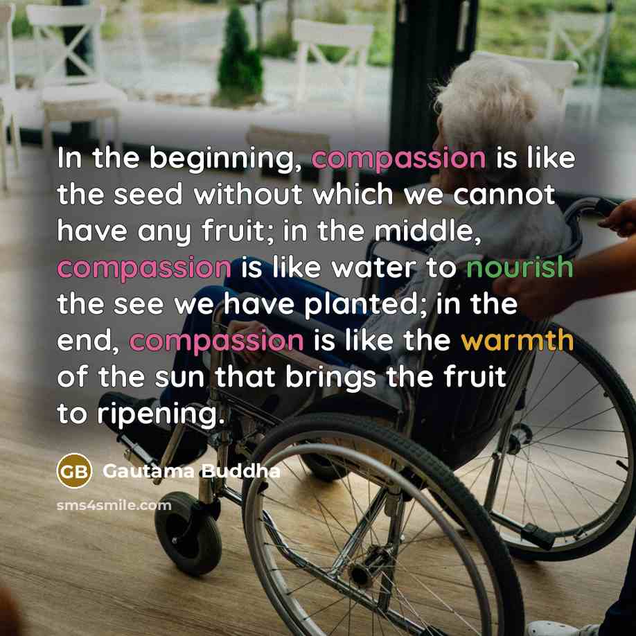 “In the beginning, compassion is like the seed without which…” quote by Gautama Buddha