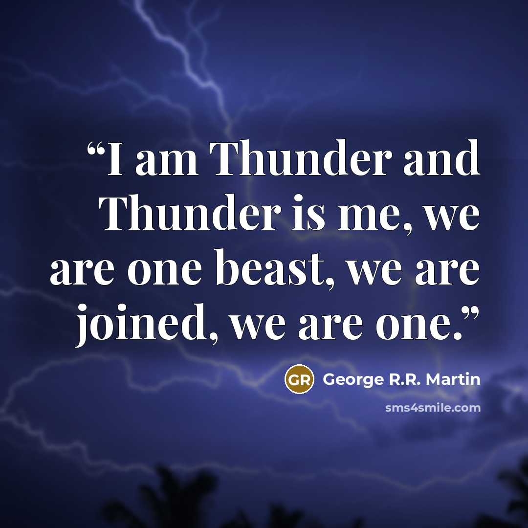 “I am Thunder and Thunder is me, we are one beast, we are joined, we are one.” quote by George R.R. Martin