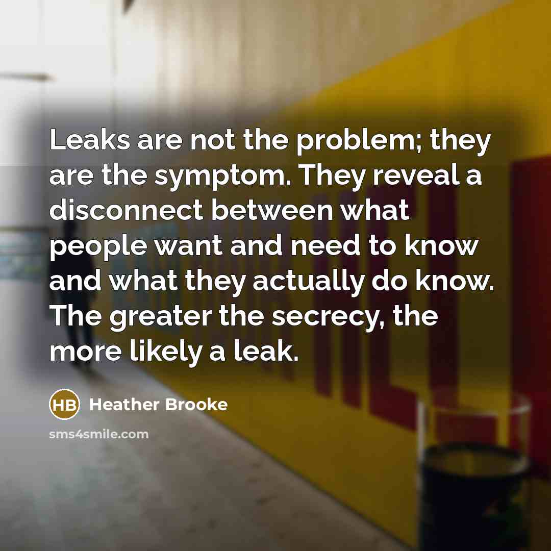 “Leaks are not the problem; they are the symptom. They…” quote by Heather Brooke