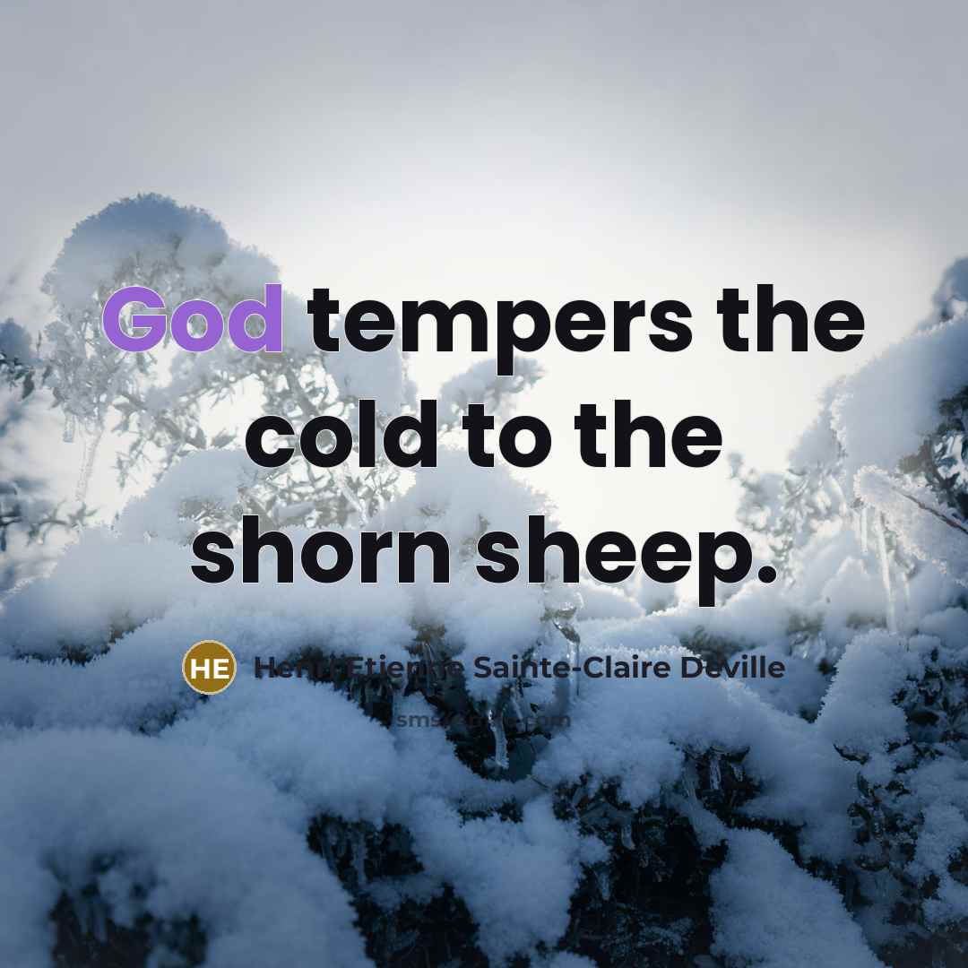 “God tempers the cold to the shorn sheep.…” quote by Henri Etienne Sainte-Claire Deville