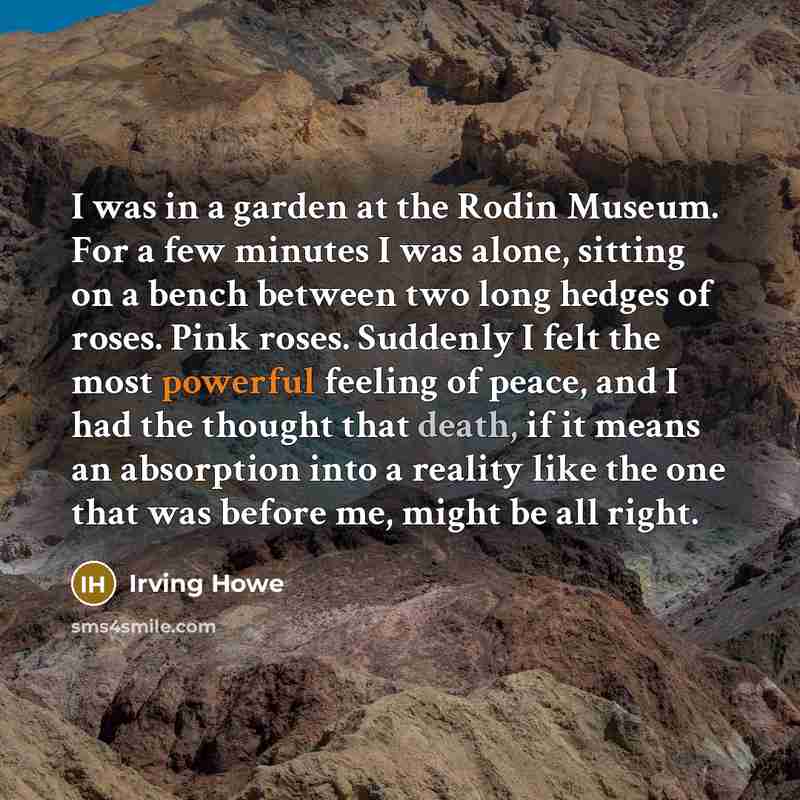 “I was in a garden at the Rodin Museum. For…” quote by Irving Howe