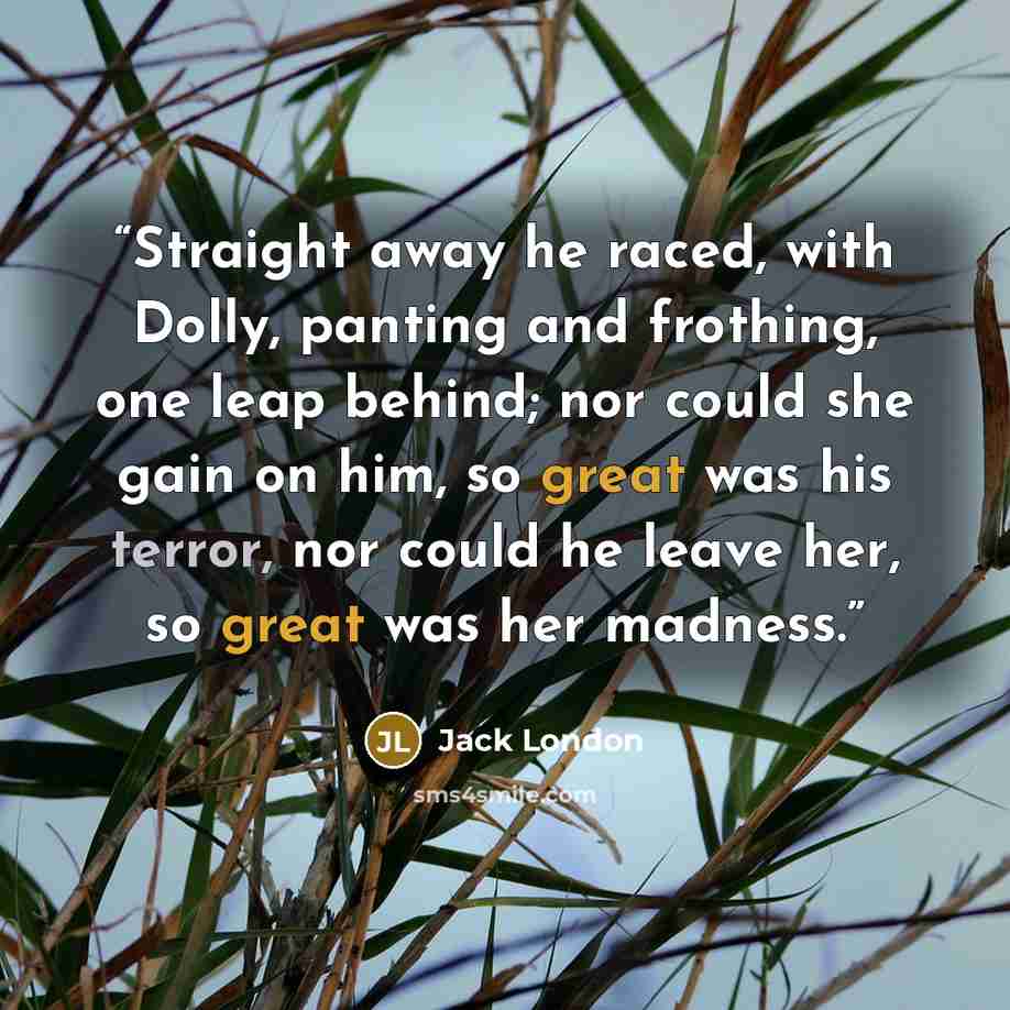 “Straight away he raced, with Dolly, panting and frothing, one leap behind; nor could she gain on him, so great was his terror, nor could he leave her, so great was her madness.” quote by Jack London