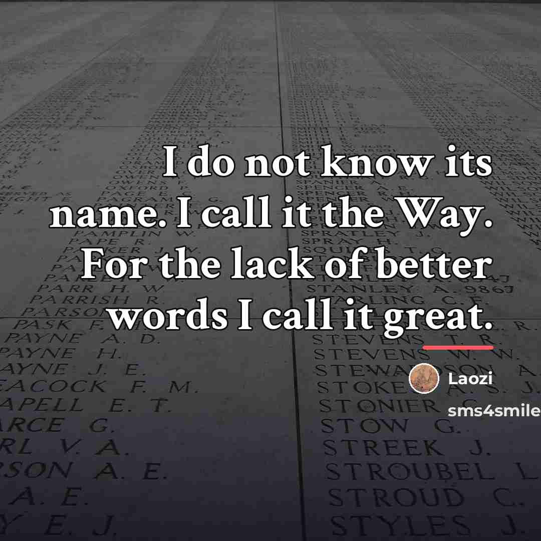 “I do not know its name. I call it the…” quote by Laozi