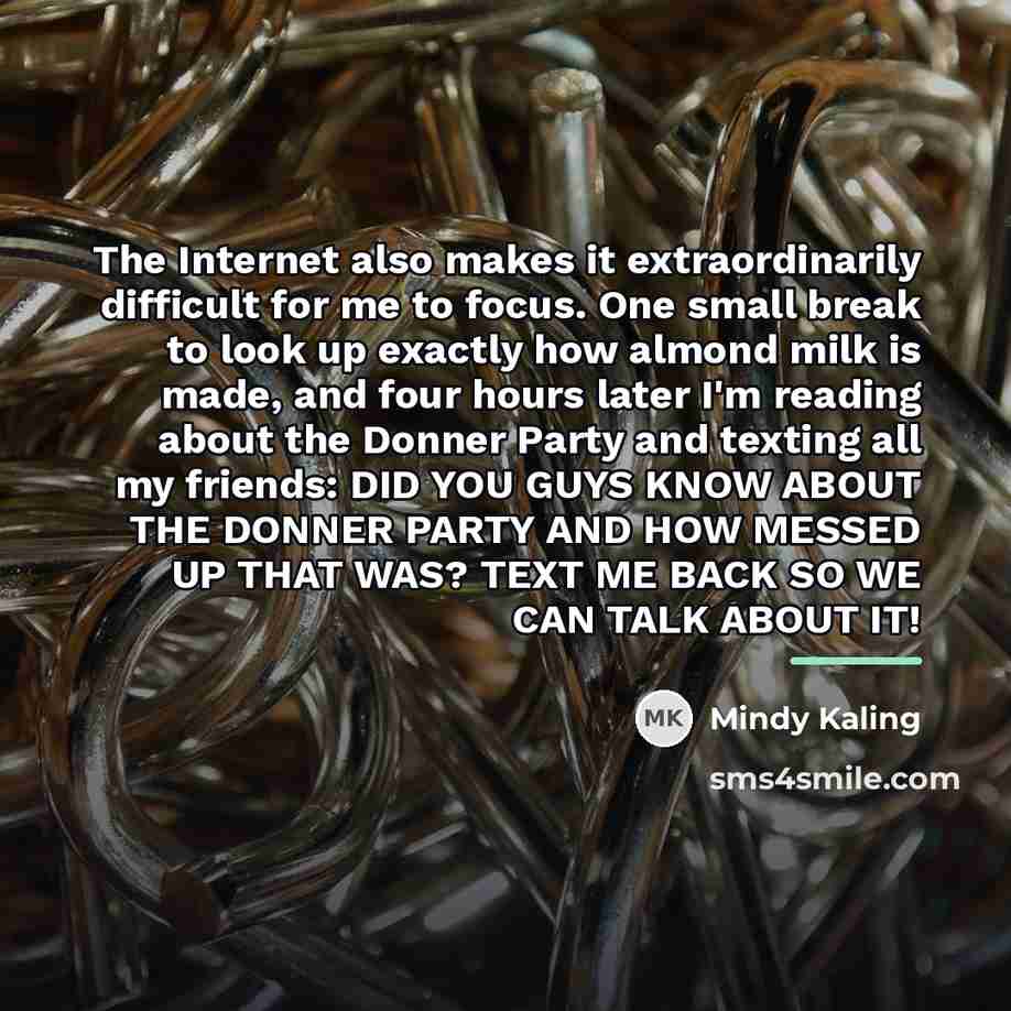 “The Internet also makes it extraordinarily difficult for me to…” quote by Mindy Kaling