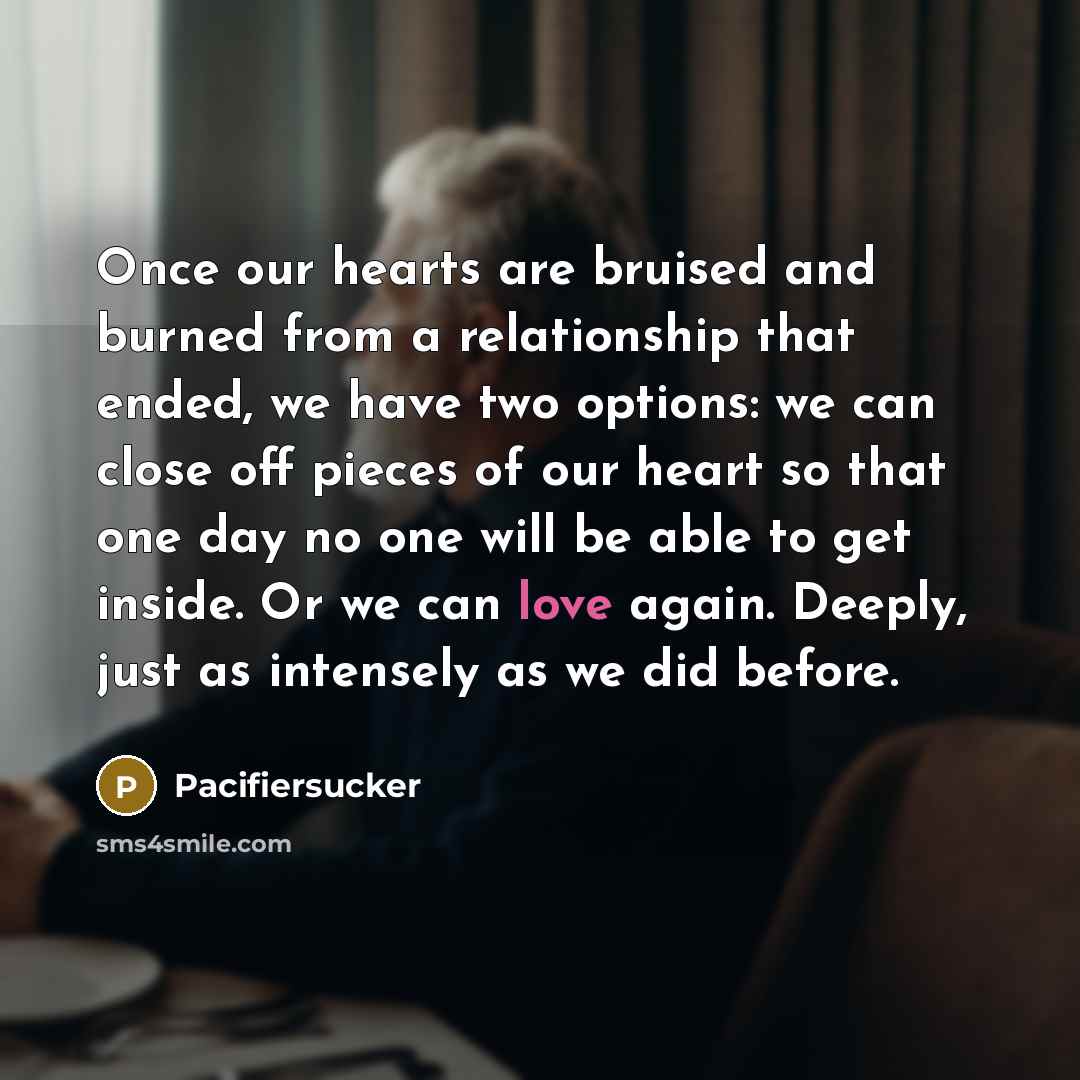 “Once our hearts are bruised and burned from a relationship…” quote by Pacifiersucker