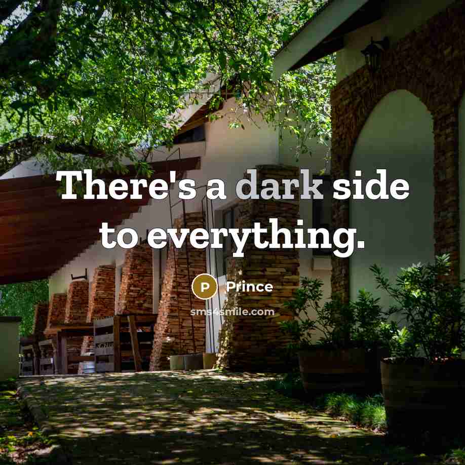 “There's a dark side to everything.…” quote by Prince