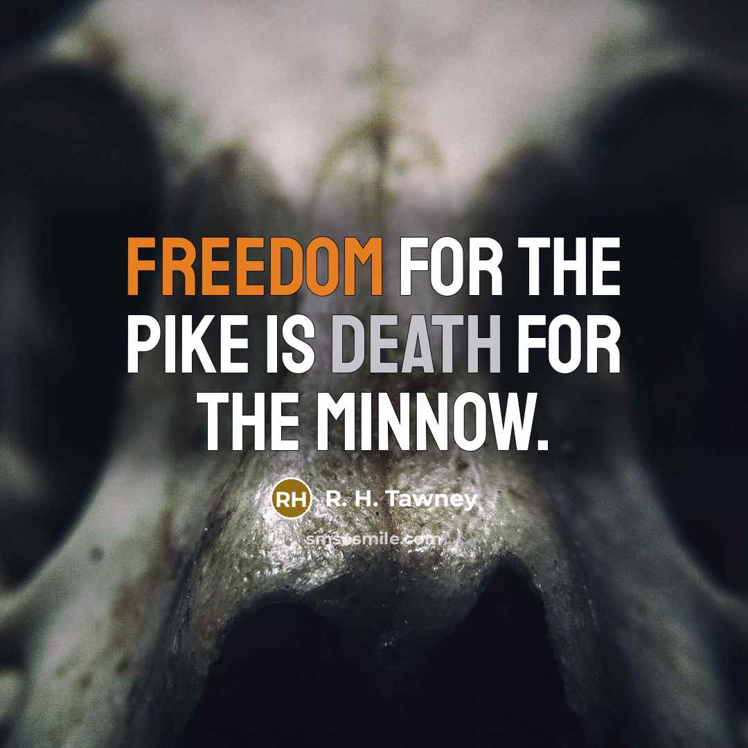 “Freedom for the pike is death for the minnow.…” quote by R. H. Tawney