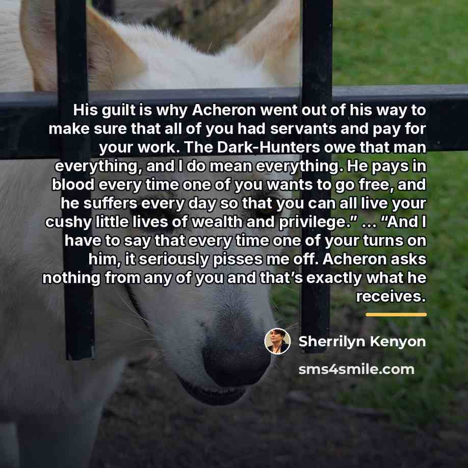 “His guilt is why Acheron went out of his way…” quote by Sherrilyn Kenyon