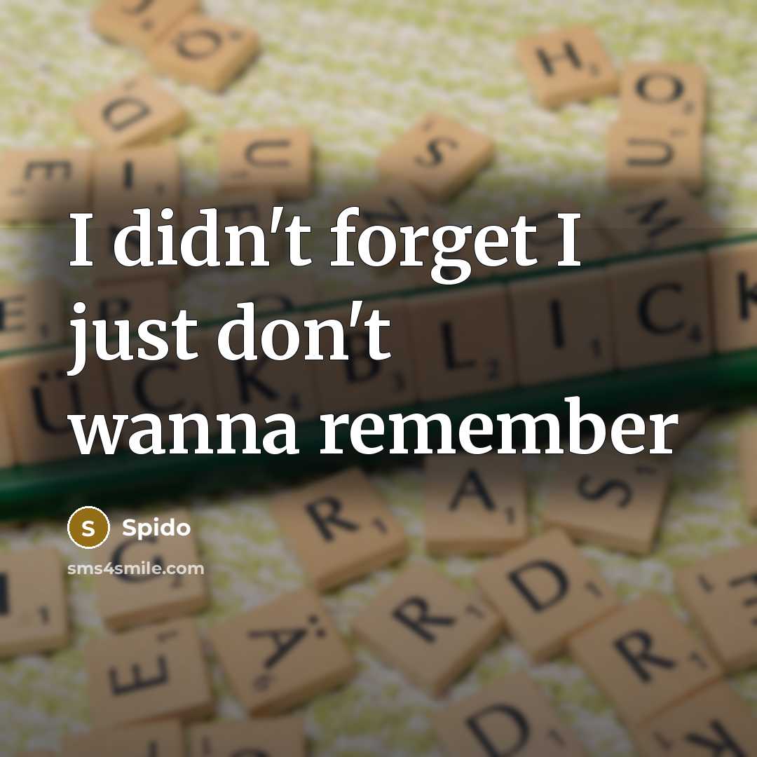 “I didn't forget I just don't wanna remember…” quote by Spido