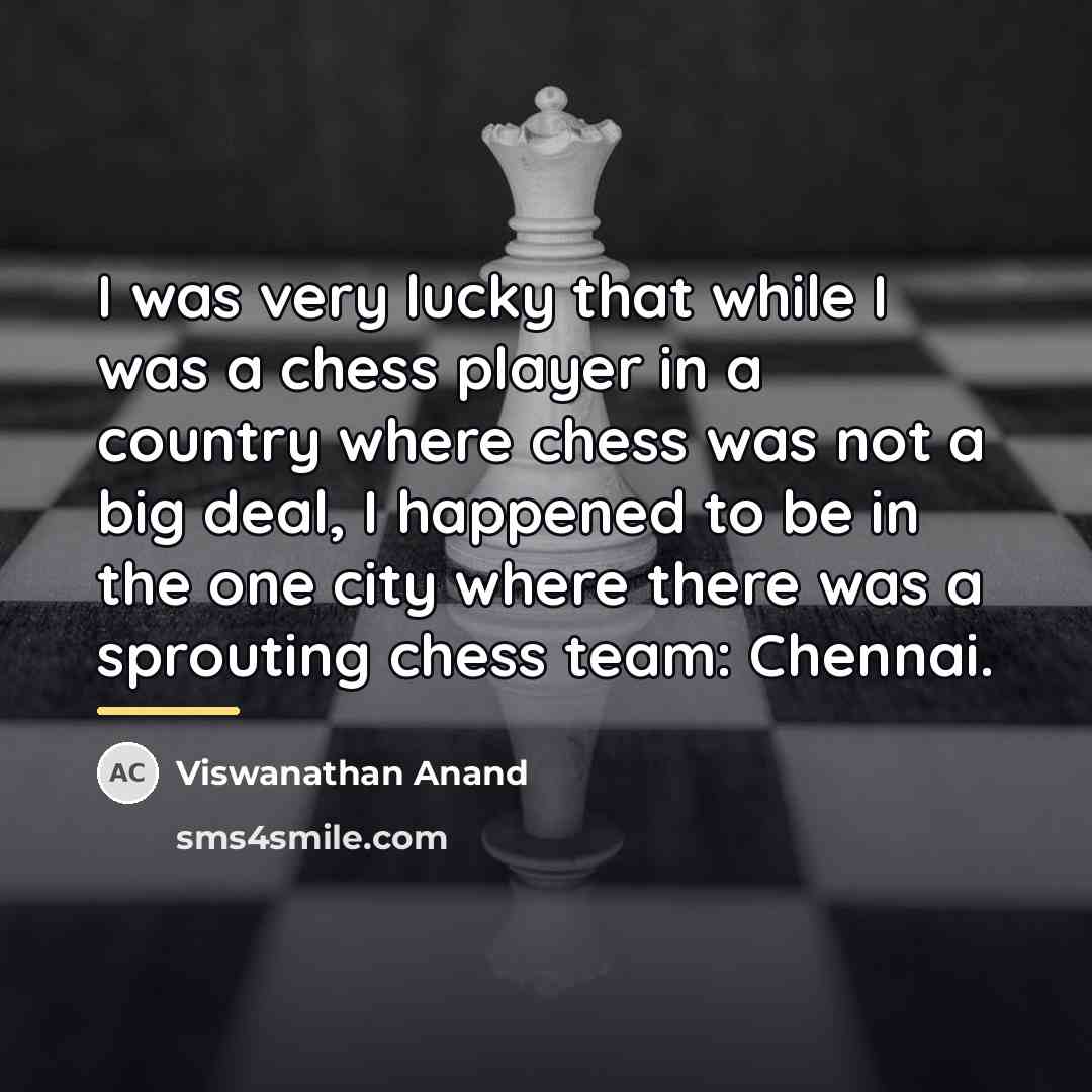 “I was very lucky that while I was a chess…” quote by Viswanathan Anand