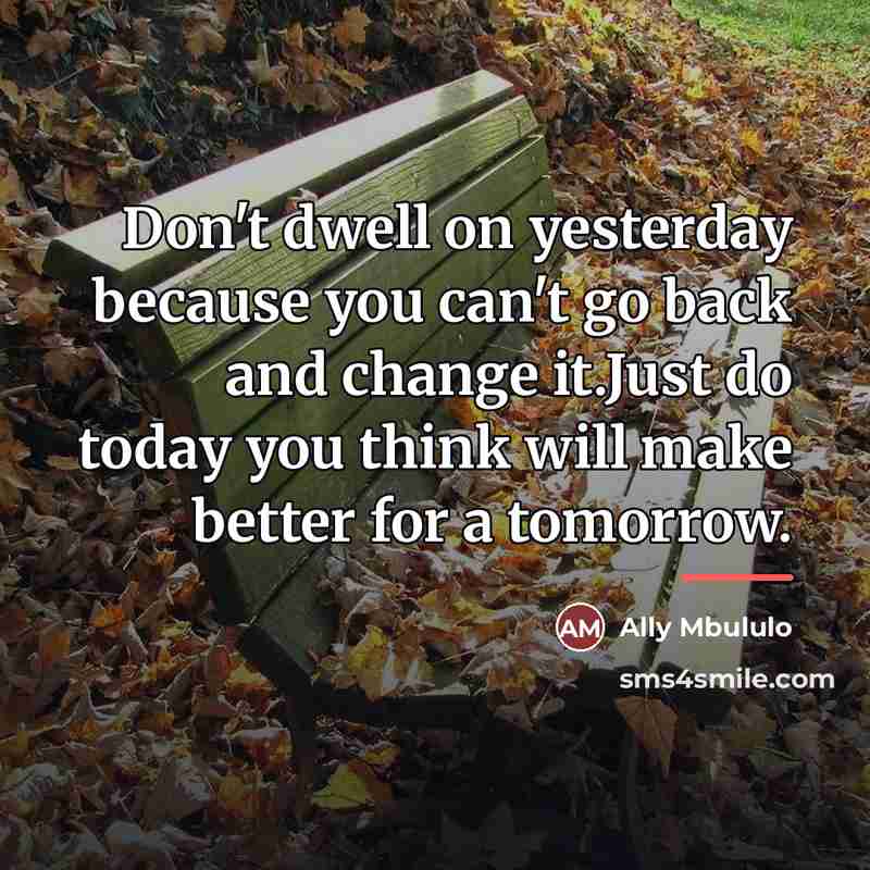 “Don't dwell on yesterday because you can't go back and…” quote by Ally Mbululo