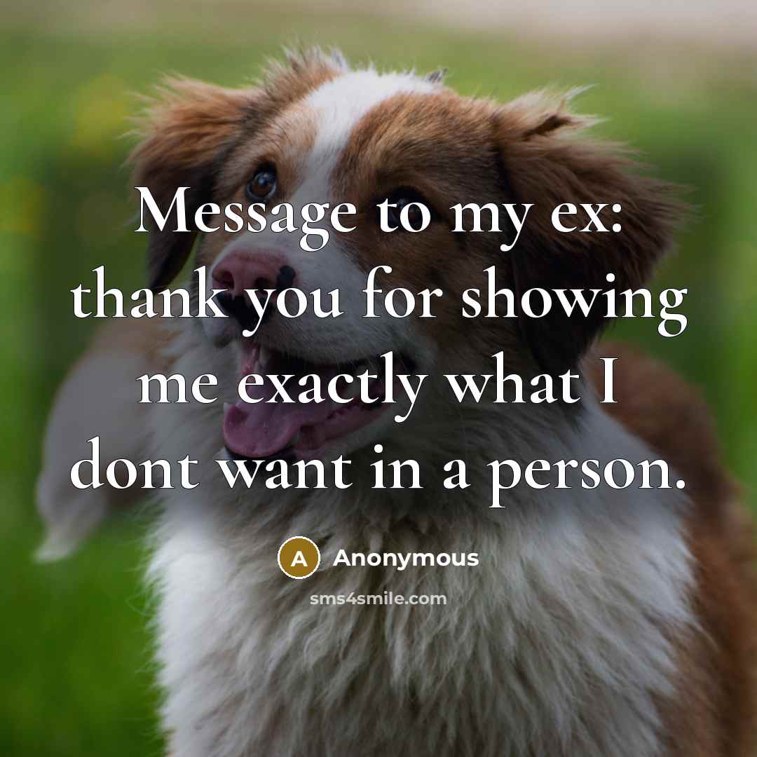“Message to my ex: thank you for showing me exactly…” quote by Anonymous