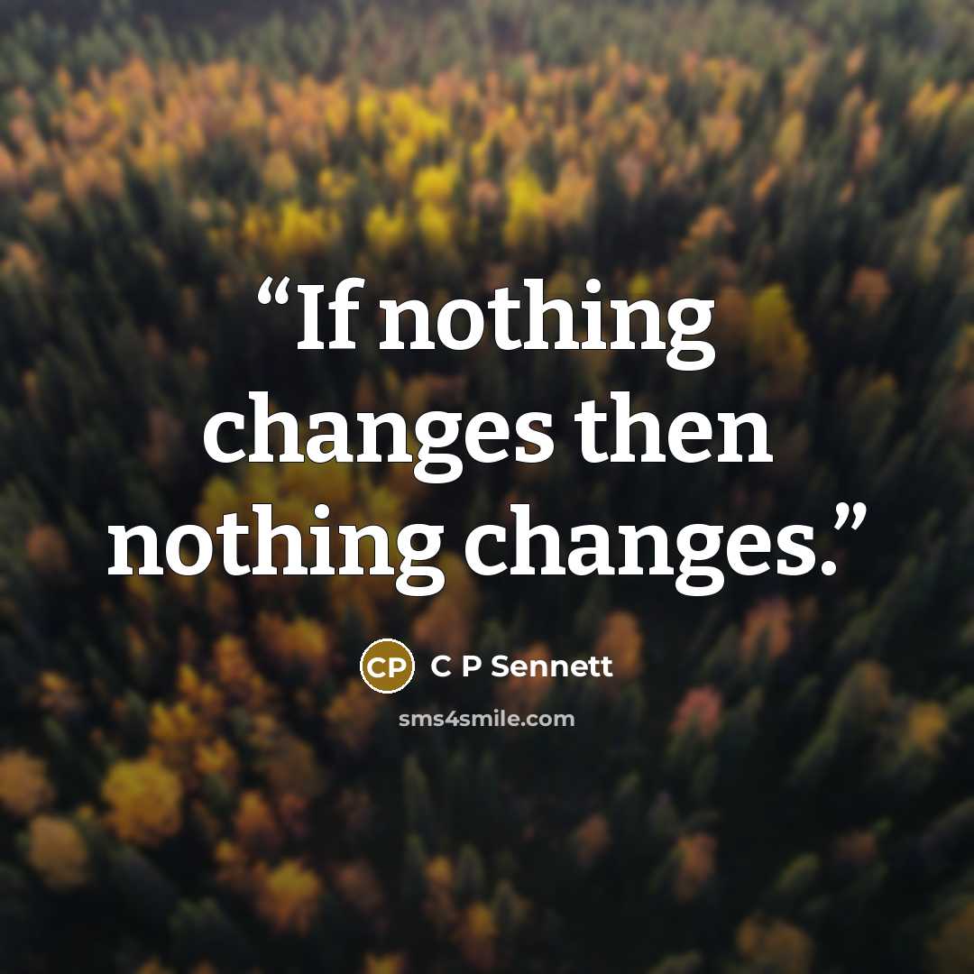 “If nothing changes then nothing changes.” quote by C P Sennett