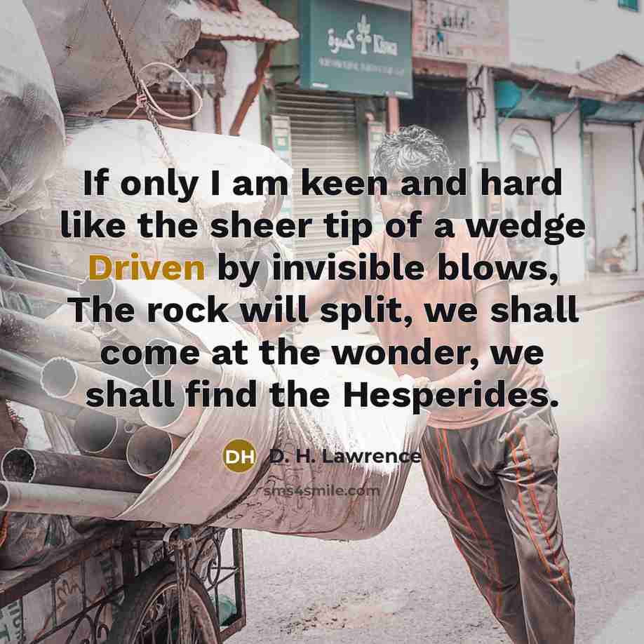 “If only I am keen and hard like the sheer…” quote by D. H. Lawrence