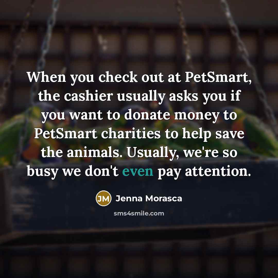 “When you check out at PetSmart, the cashier usually asks…” quote by Jenna Morasca