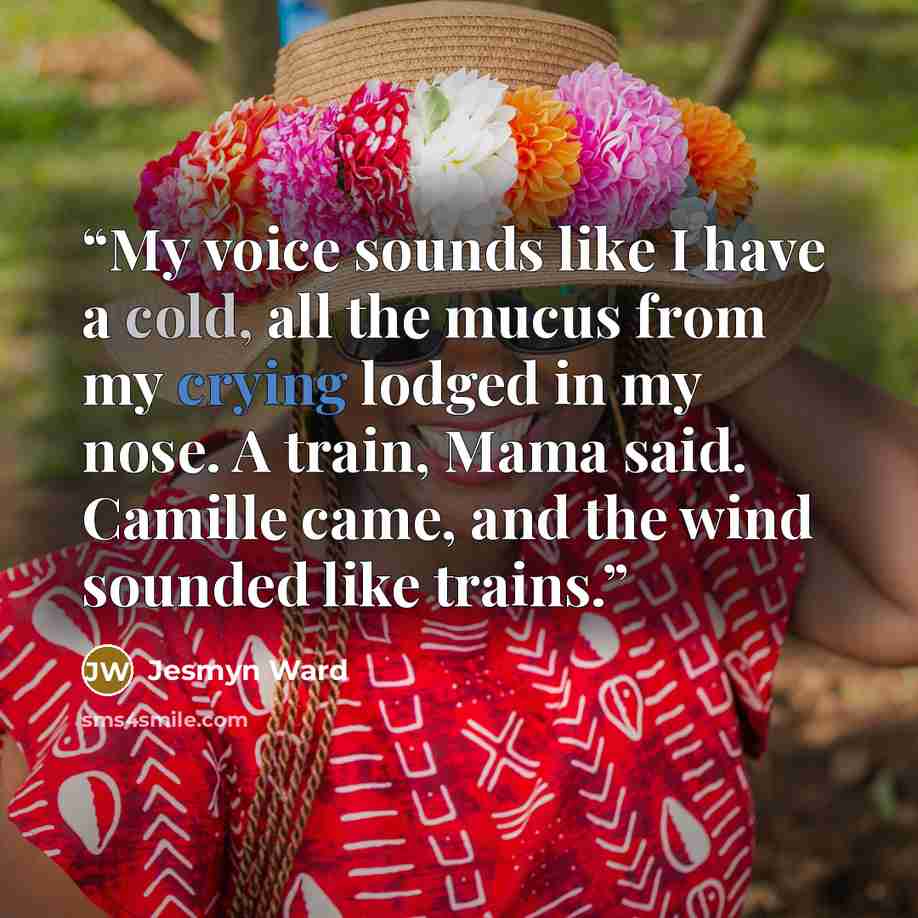 “My voice sounds like I have a cold, all the mucus from my crying lodged in my nose. A train, Mama said. Camille came, and the wind sounded like trains.” quote by Jesmyn Ward
