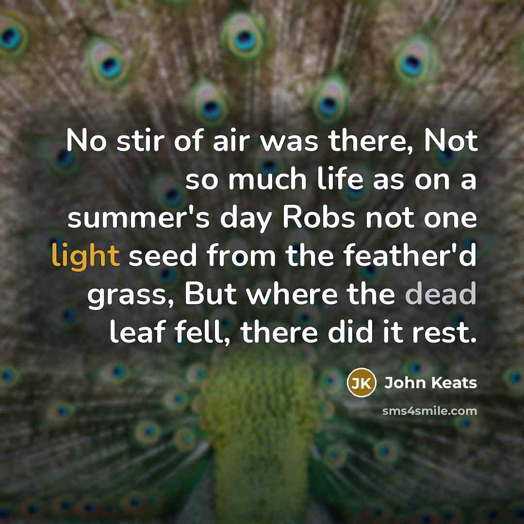 “No stir of air was there, Not so much life…” quote by John Keats