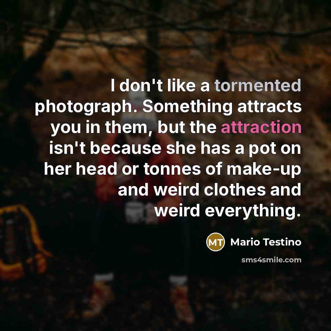 “I don't like a tormented photograph. Something attracts you in…” quote by Mario Testino