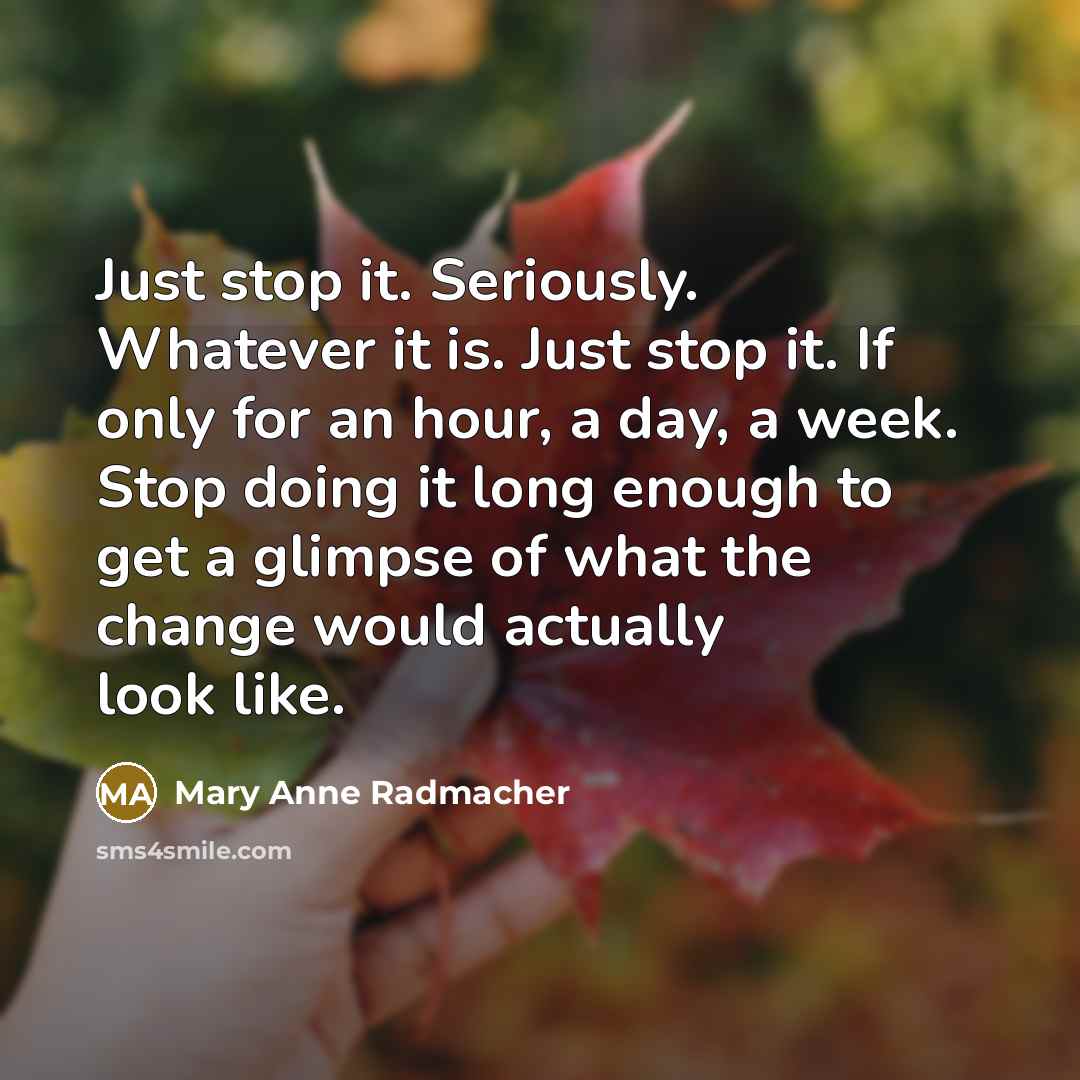 “Just stop it. Seriously. Whatever it is. Just stop it.…” quote by Mary Anne Radmacher