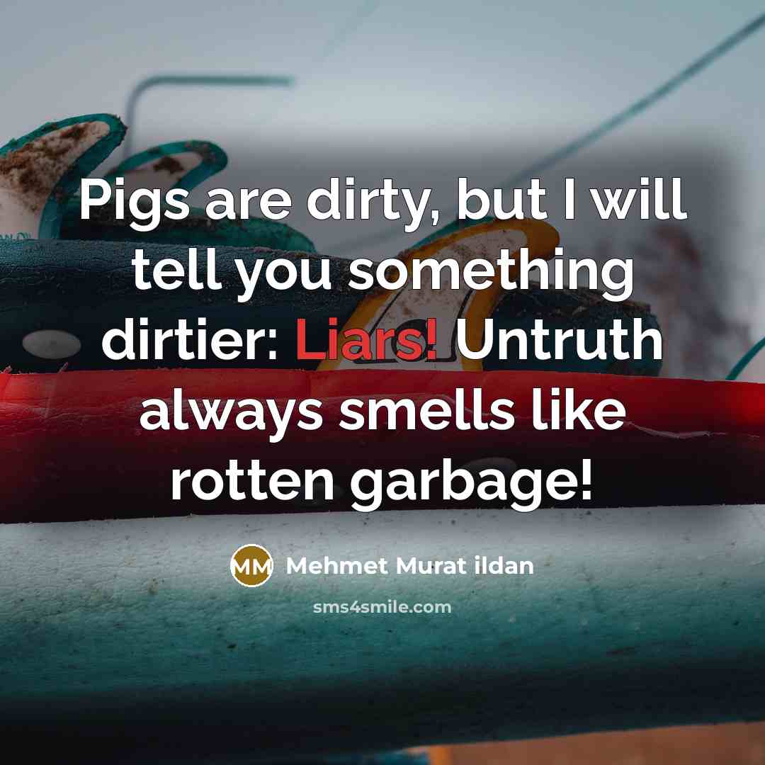 “Pigs are dirty, but I will tell you something dirtier:…” quote by Mehmet Murat Ildan