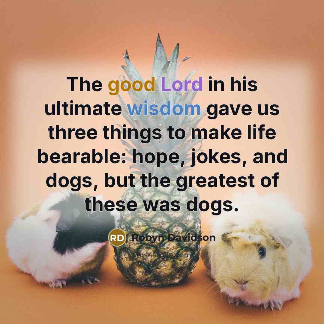 “The good Lord in his ultimate wisdom gave us three things to make life bearable: hope, jokes, and dogs, but the greatest of these was dogs.” quote by Robyn Davidson