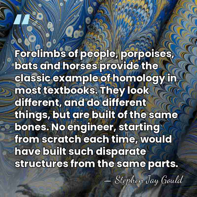 Forelimbs of people, porpoises, bats and horses provide the classic example of&hellip; - Stephen Jay Gould