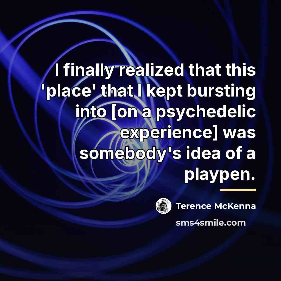 “I finally realized that this 'place' that I kept bursting…” quote by Terence McKenna