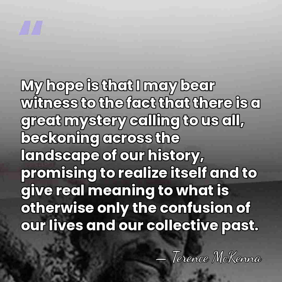 My hope is that I may bear witness to the fact that&hellip; - Terence McKenna