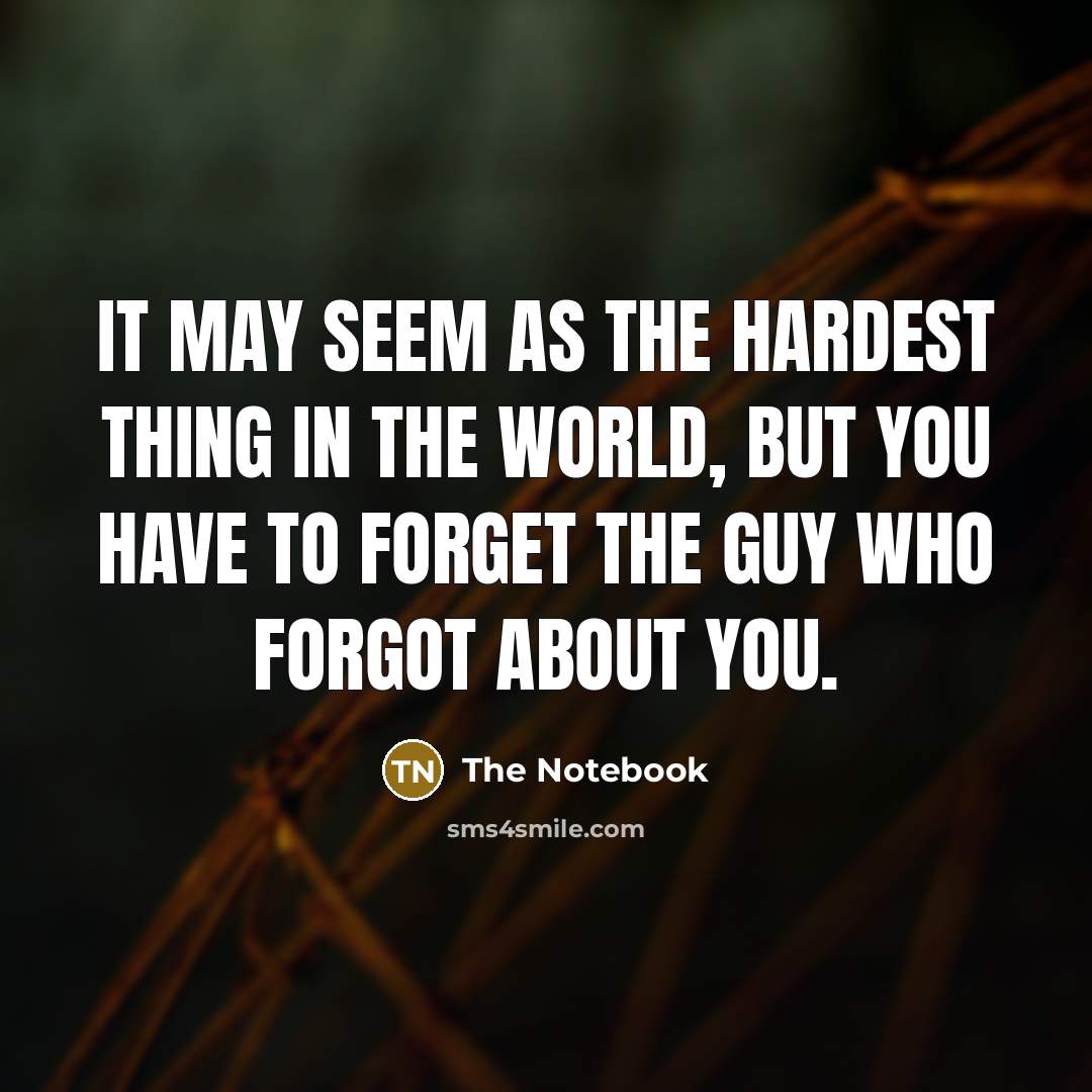 “It may seem as the hardest thing in the world, but you have to forget the guy who forgot about you.” quote by The Notebook