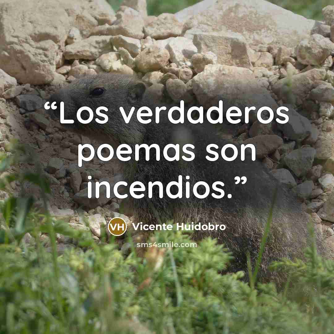 “Los verdaderos poemas son incendios.” quote by Vicente Huidobro