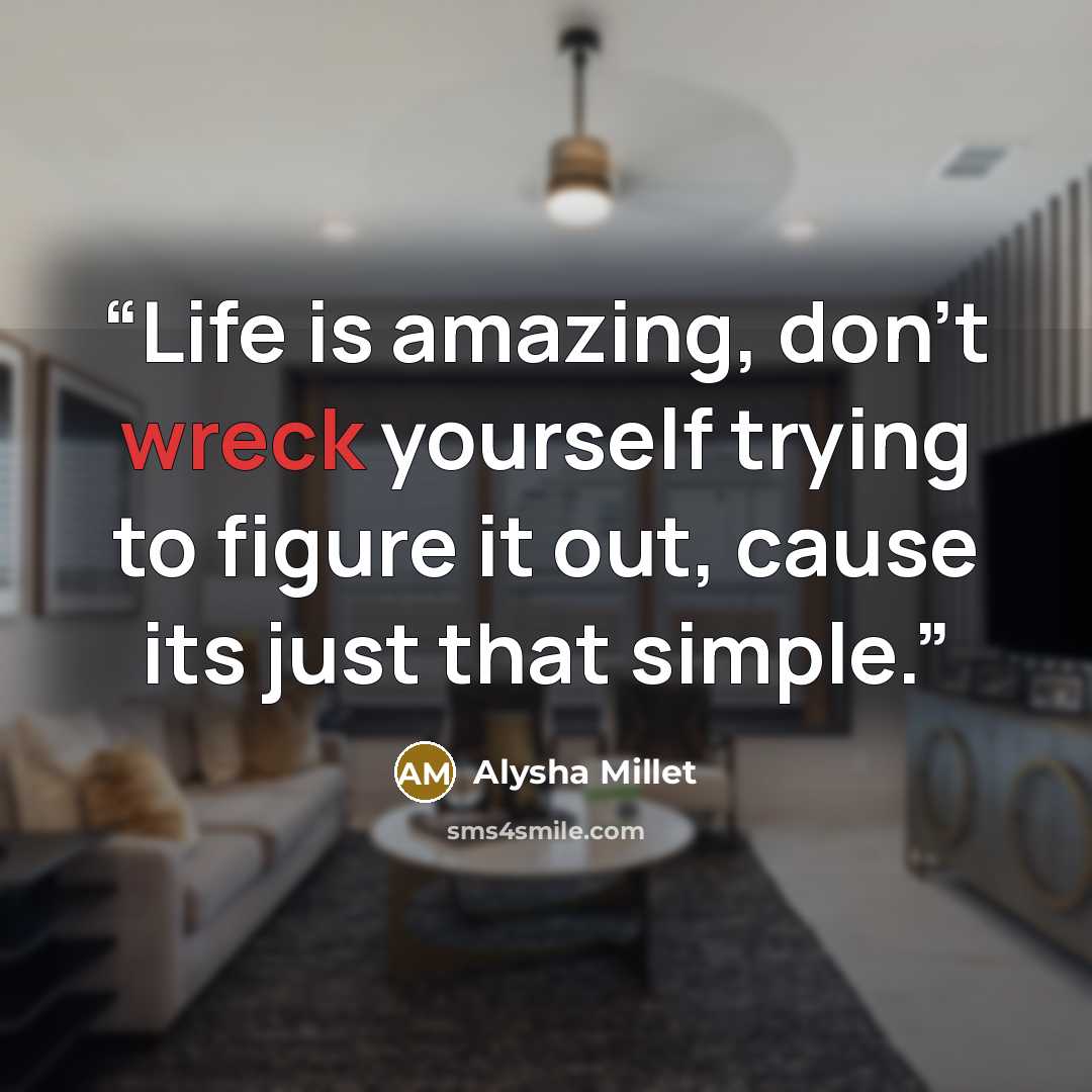 “Life is amazing, don't wreck yourself trying to figure it out, cause its just that simple.” quote by Alysha Millet