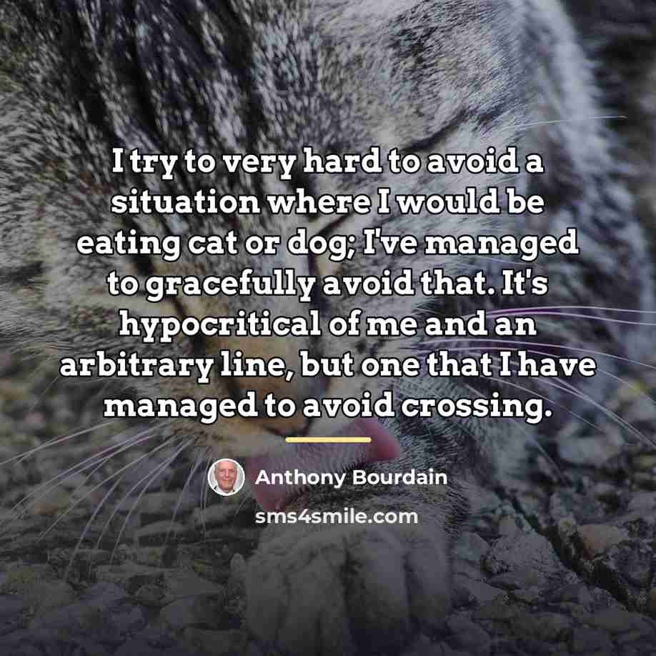 “I try to very hard to avoid a situation where…” quote by Anthony Bourdain