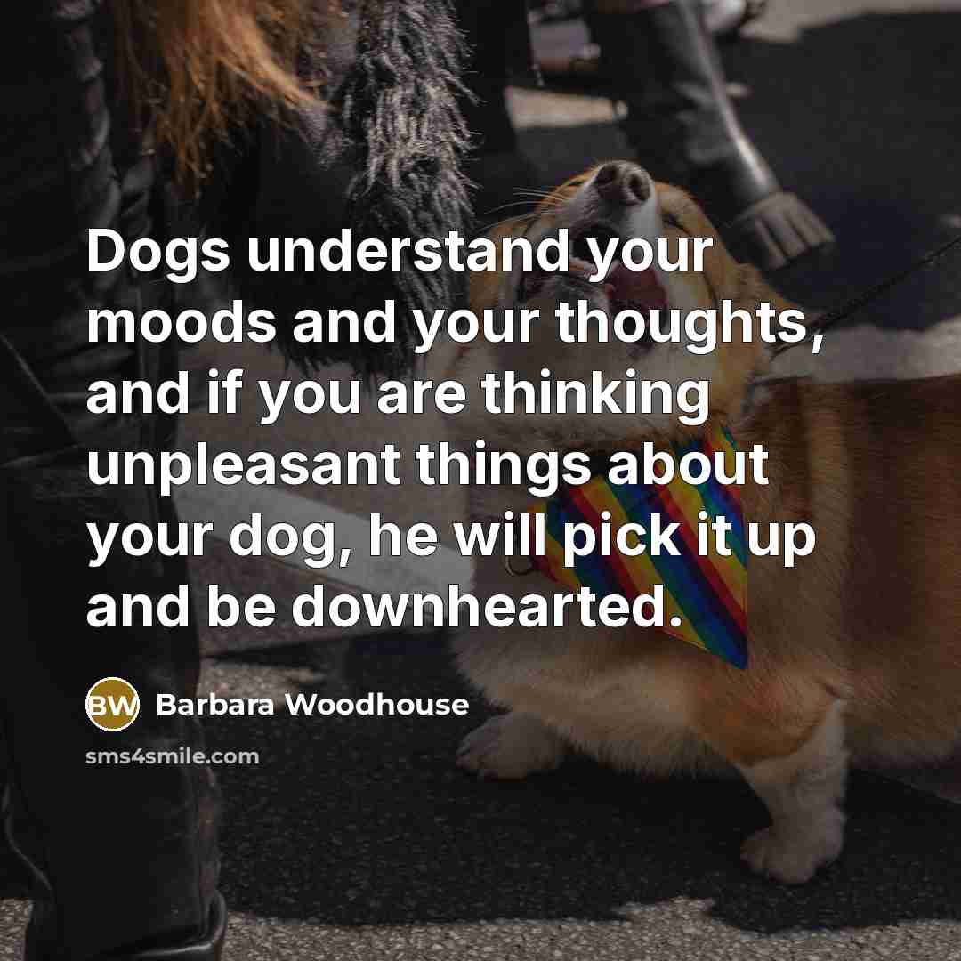 “Dogs understand your moods and your thoughts, and if you…” quote by Barbara Woodhouse