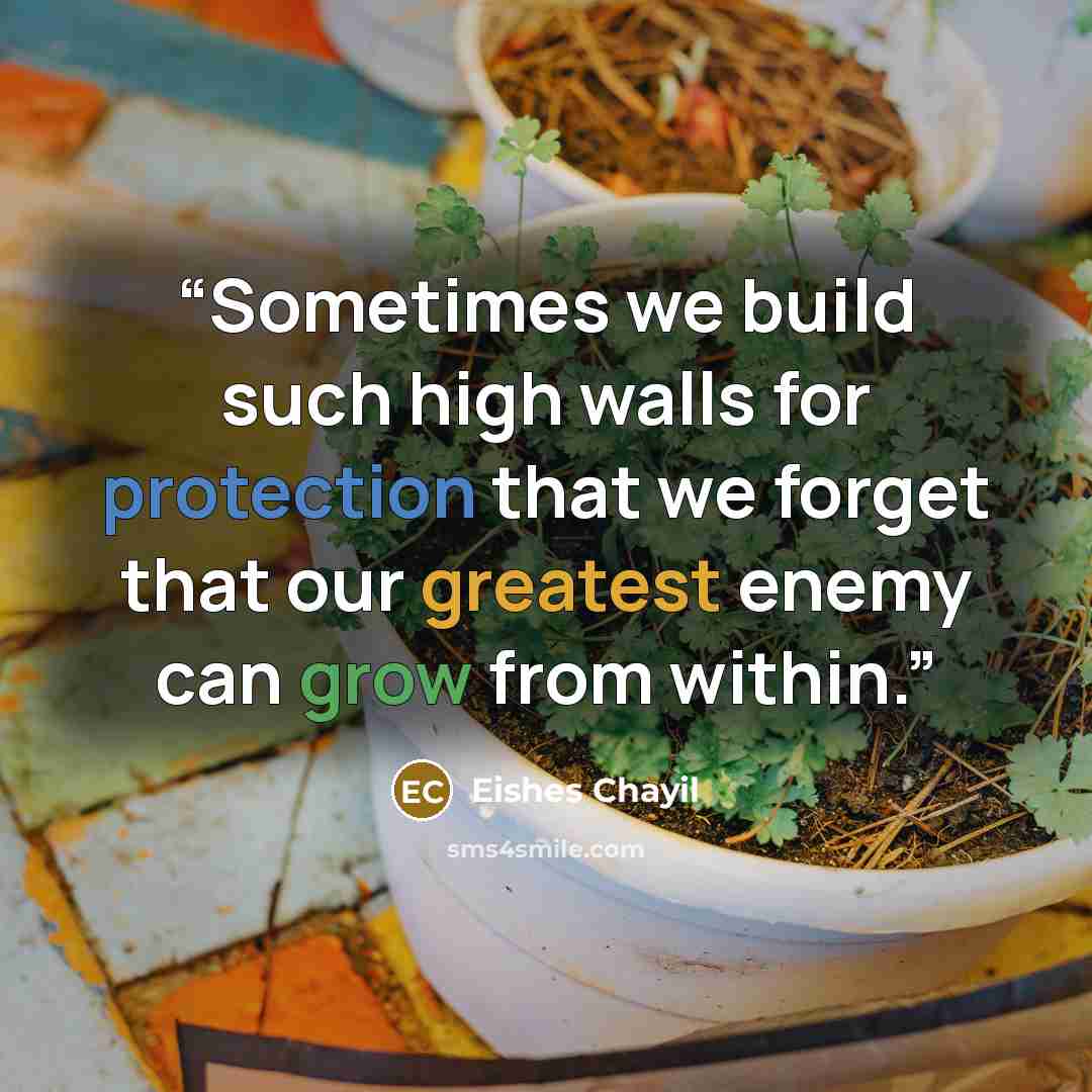 “Sometimes we build such high walls for protection that we forget that our greatest enemy can grow from within.” quote by Eishes Chayil