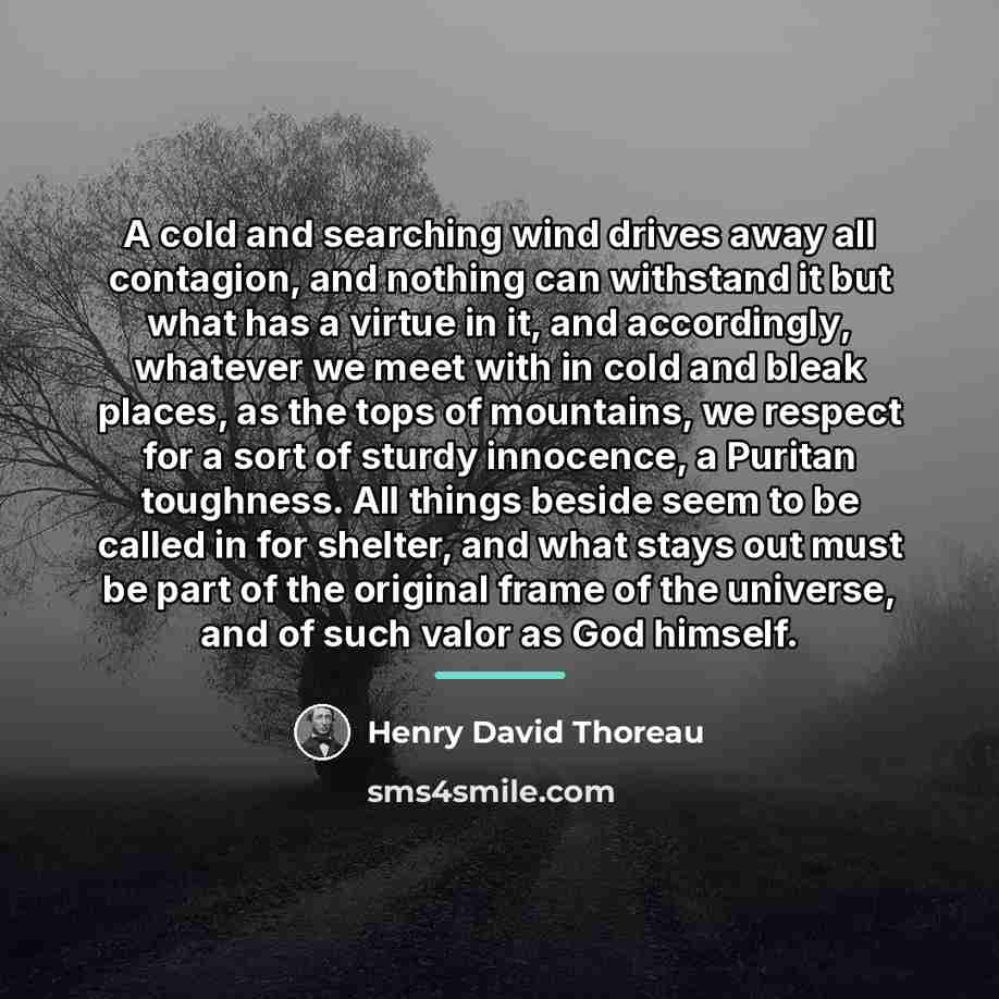 “A cold and searching wind drives away all contagion, and…” quote by Henry David Thoreau