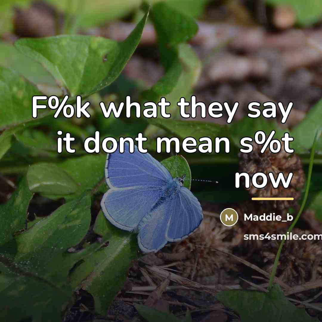 “F%k what they say it dont mean s%t now…” quote by Maddie_b