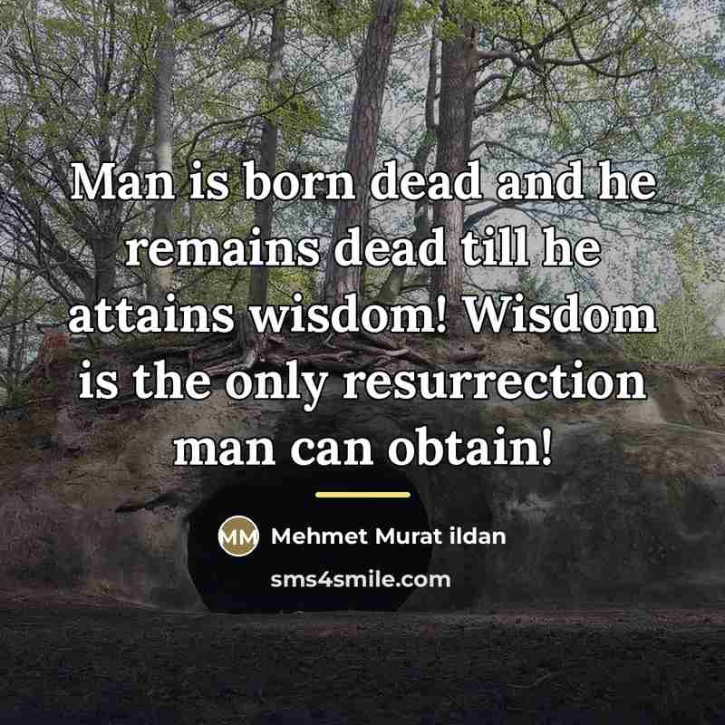 “Man is born dead and he remains dead till he…” quote by Mehmet Murat Ildan