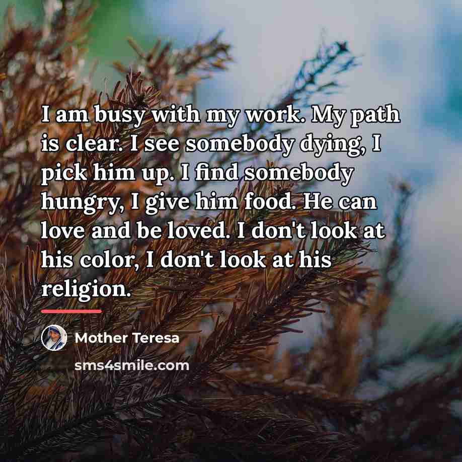 “I am busy with my work. My path is clear.…” quote by Mother Teresa