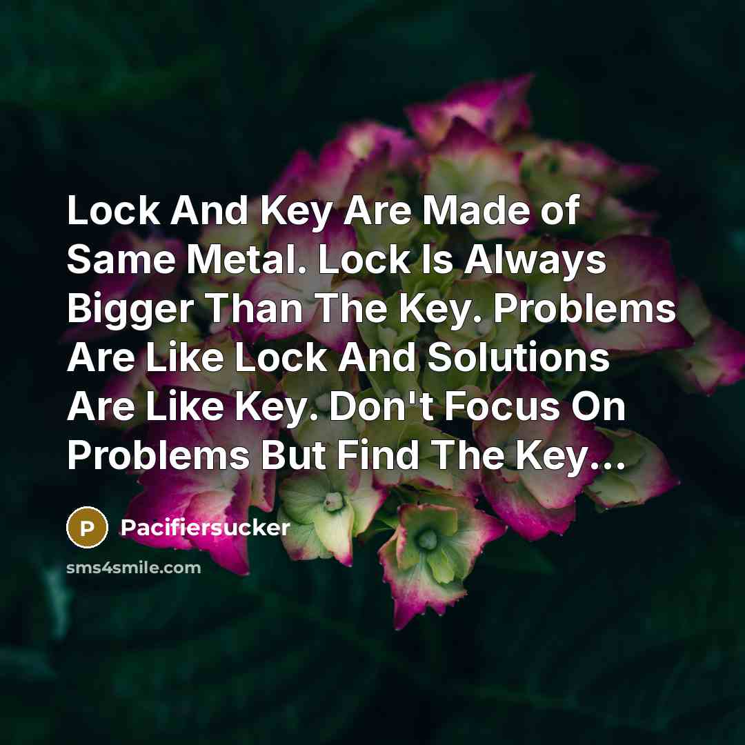 “Lock And Key Are Made of Same Metal. Lock Is…” quote by Pacifiersucker
