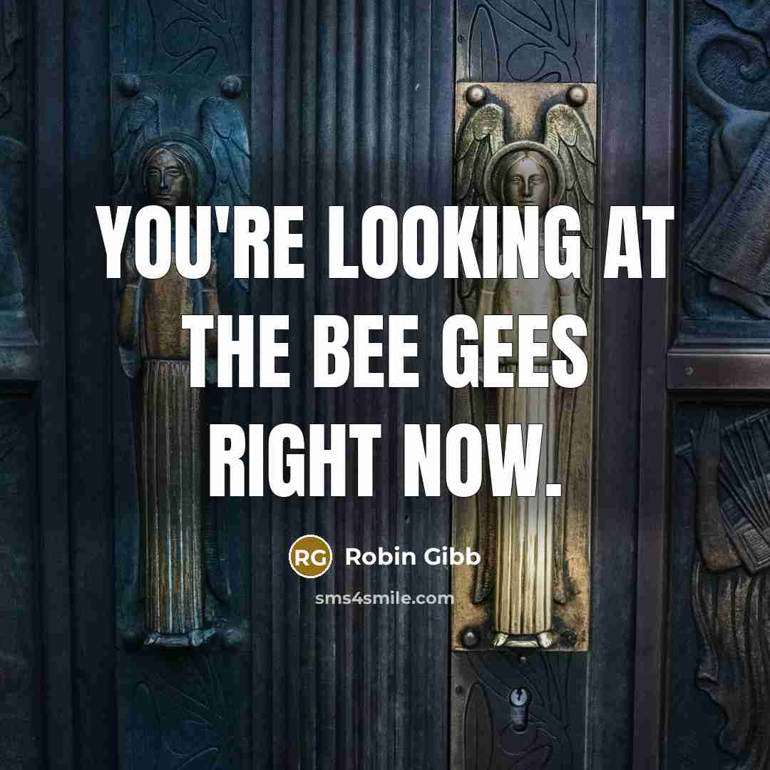 “You're looking at the Bee Gees right now.…” quote by Robin Gibb