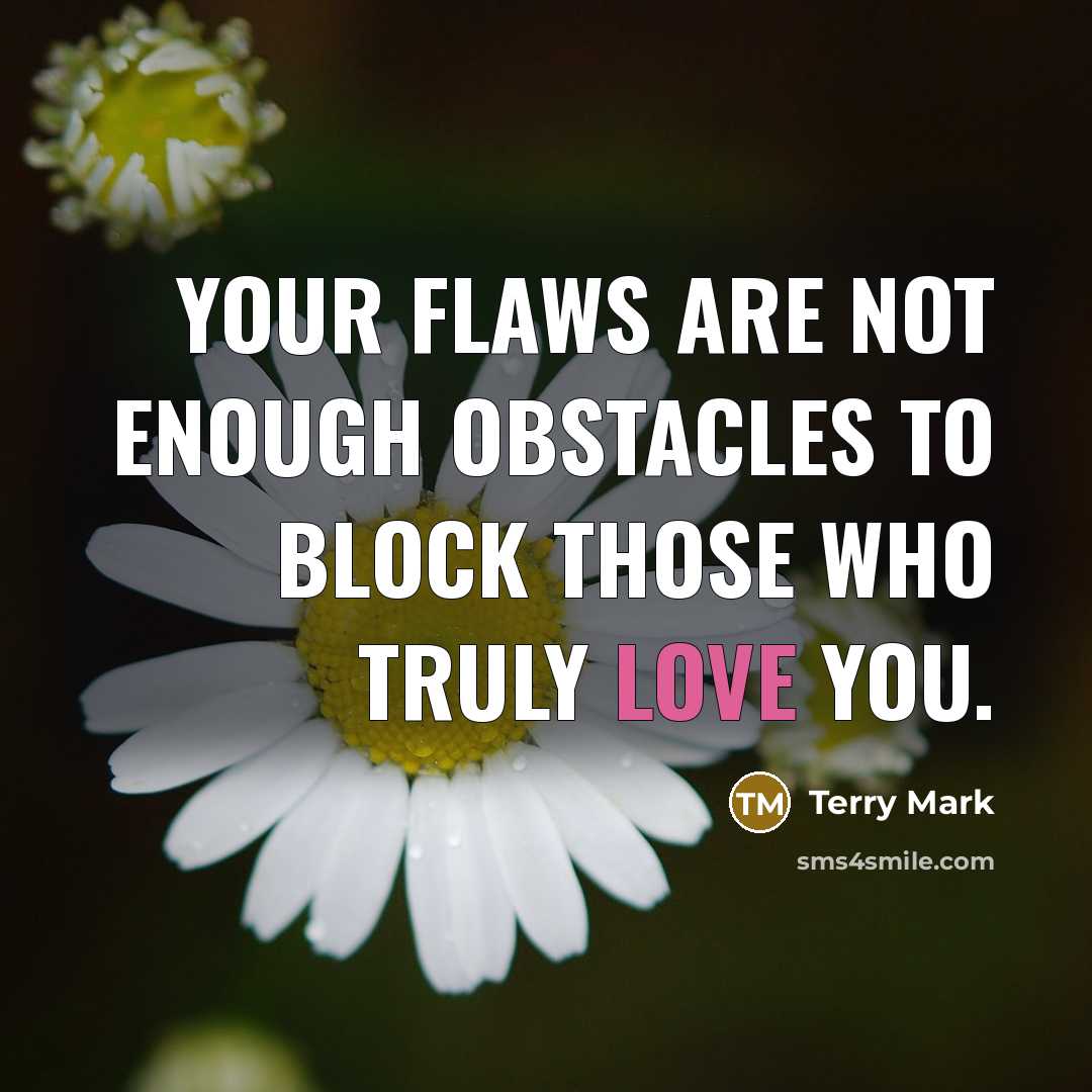 “Your flaws are not enough obstacles to block those who…” quote by Terry Mark